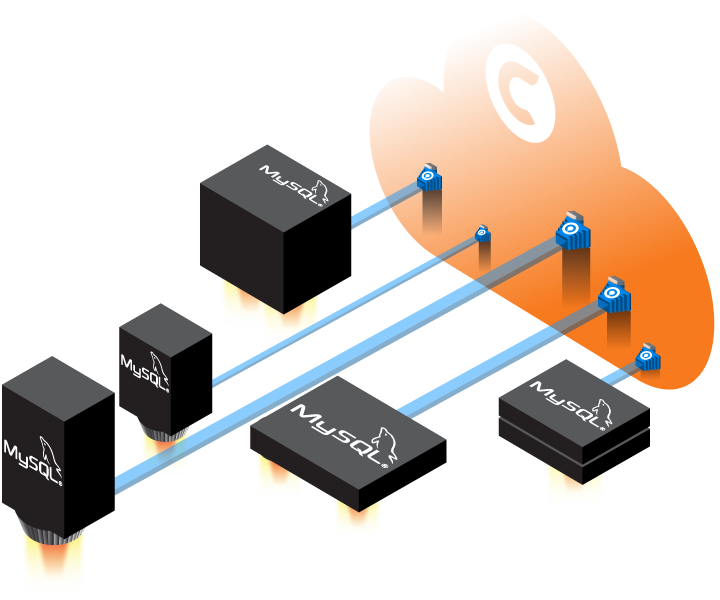 MySQL Database Backup